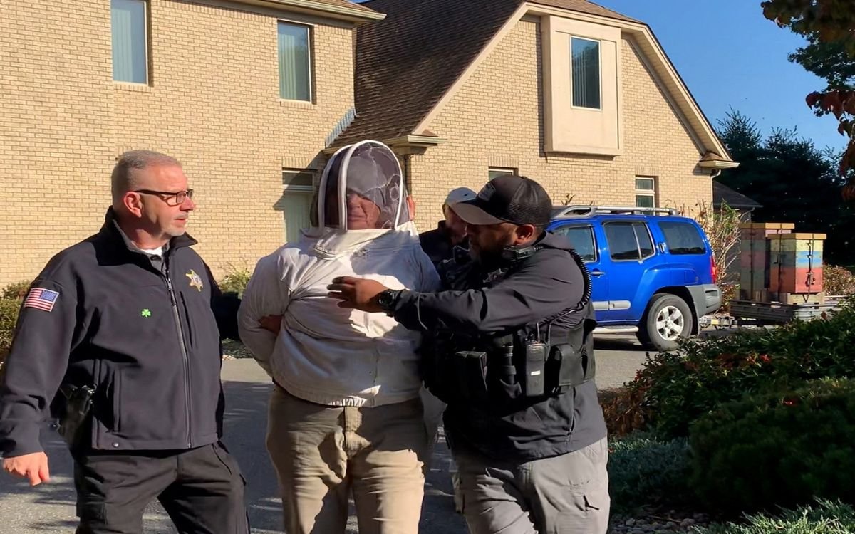 Mujer atacó a policías con enjambre de abejas enojadas en EU