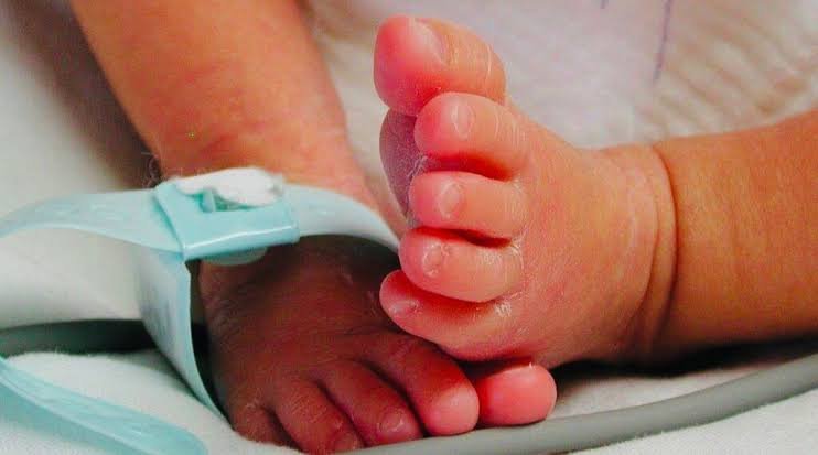 Un Niño y una Niña, los Dos Primeros Bebés en Nacer en Yucatán este 2023 - Diario Cambio 22