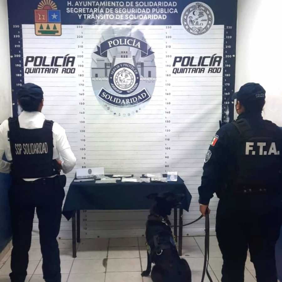 Policías aseguran drogas en Playa del Carmen
