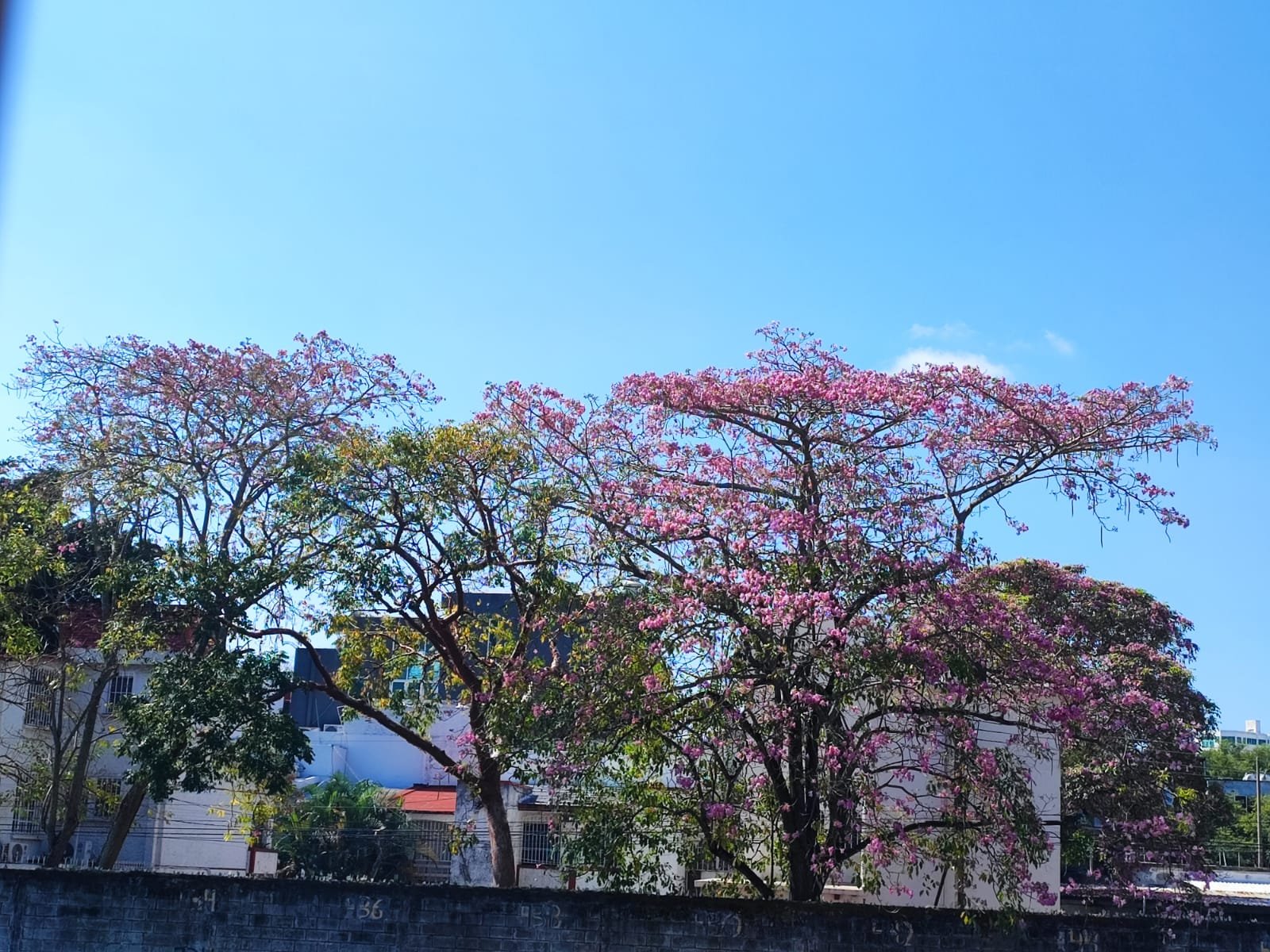 Ambiente muy caluroso, estimado para este miércoles en Tabasco