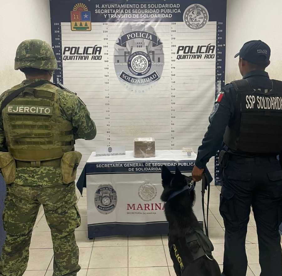 En Playa del Carmen logran la captura de individuo y el decomiso de narcóticos en empresa de paquetería