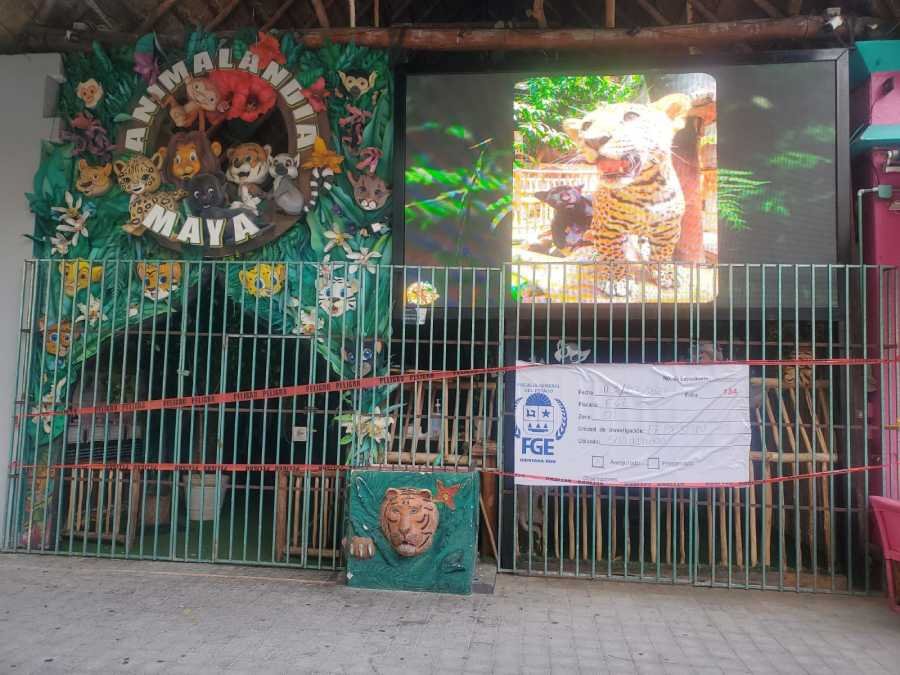 FGE asegura local "Animalandia Maya" en Playa del Carmen después del hallazgo de drogas