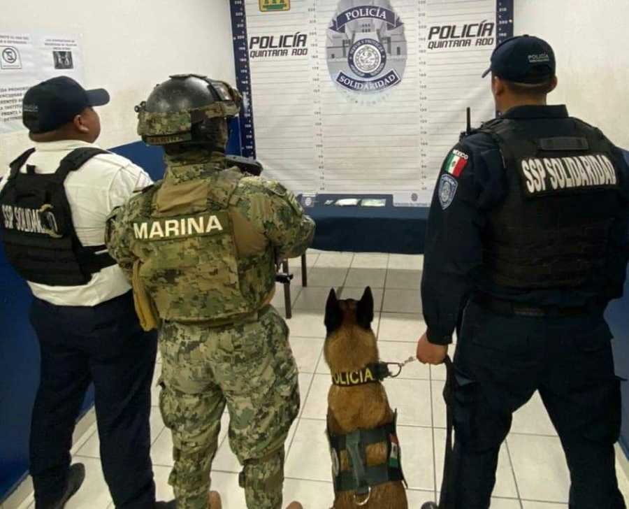 Policía de Playa del Carmen encuentra narcóticos abandonados durante operativo de vigilancia pedestre