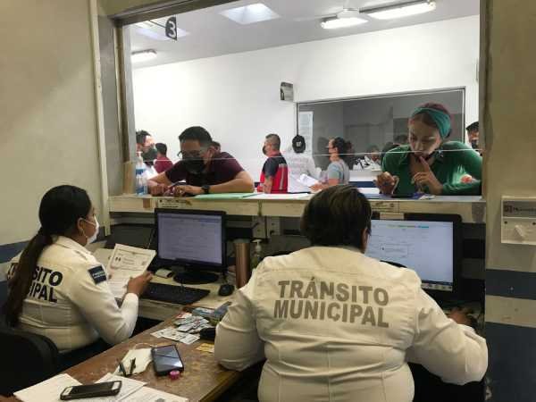 Claves de seguridad en licencias de conducir de Solidaridad para prevenir falsificaciones 1