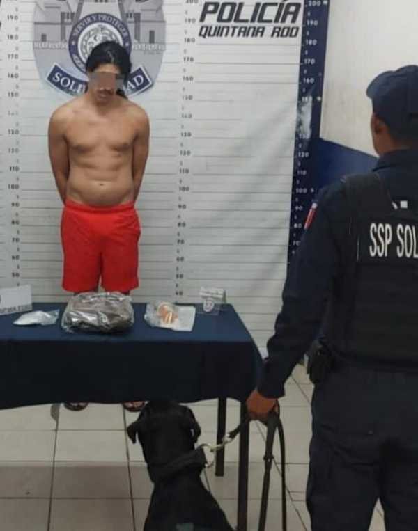 Detienen banda delictiva en Cancun con arsenal de armas y drogas decomisadas 1