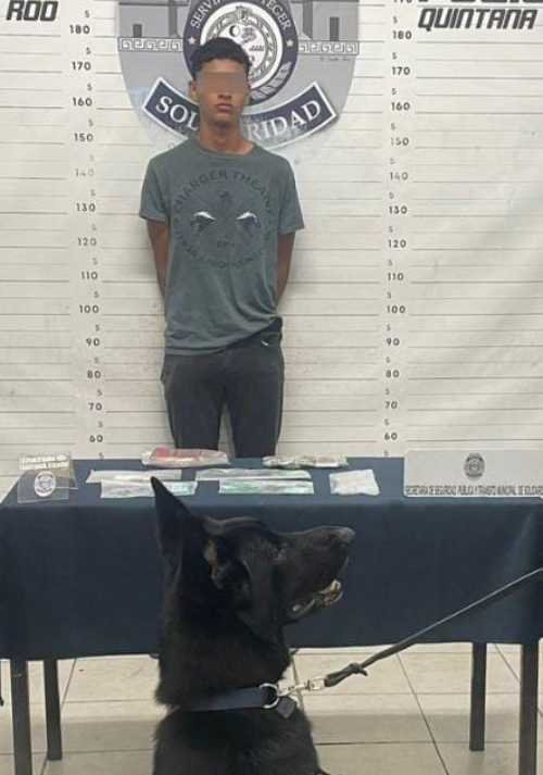 Detienen banda delictiva en Cancun con arsenal de armas y drogas decomisadas 2