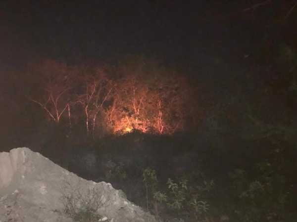 Devastador incendio en Xul Ha destruye 50 hectareas de selva y mangle 1