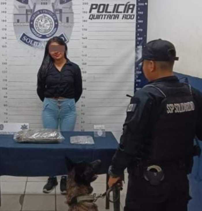 Joven detenida en la playa por posesión de drogas tras alerta de perro entrenado