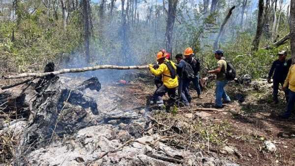 Persisten los incendios forestales en Quintana Roo cuatro zonas afectadas 1
