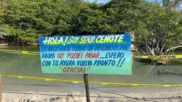Tren Maya tendrá más 'pasos de fauna' en tramo Playa del Carmen-Tulum 1 Tren Maya tendra mas pasos de fauna en tramo Playa del Carmen Tulum 1