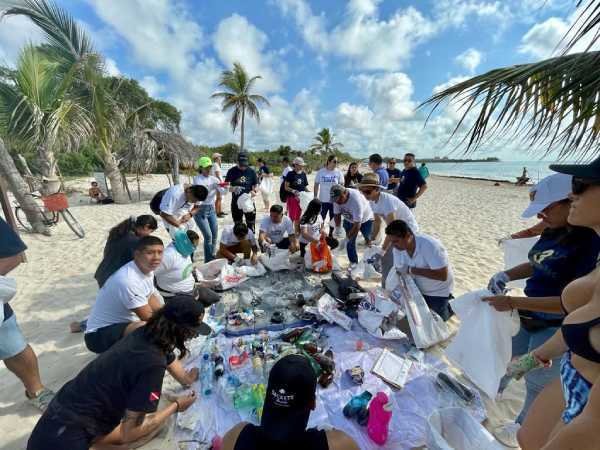 Unidos por la Tierra: Limpieza de Playas en Playa del Carmen en el Día Mundial del Medio Ambiente 1 Unidos por la Tierra Limpieza de Playas en Playa del Carmen en el Dia Mundial del Medio Ambiente 1