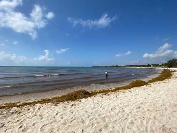 Uniendo esfuerzos por el cuidado de la playa Punta Esmeralda en Playa del Carmen 1 Uniendo esfuerzos por el cuidado de la playa Punta Esmeralda en Playa del Carmen