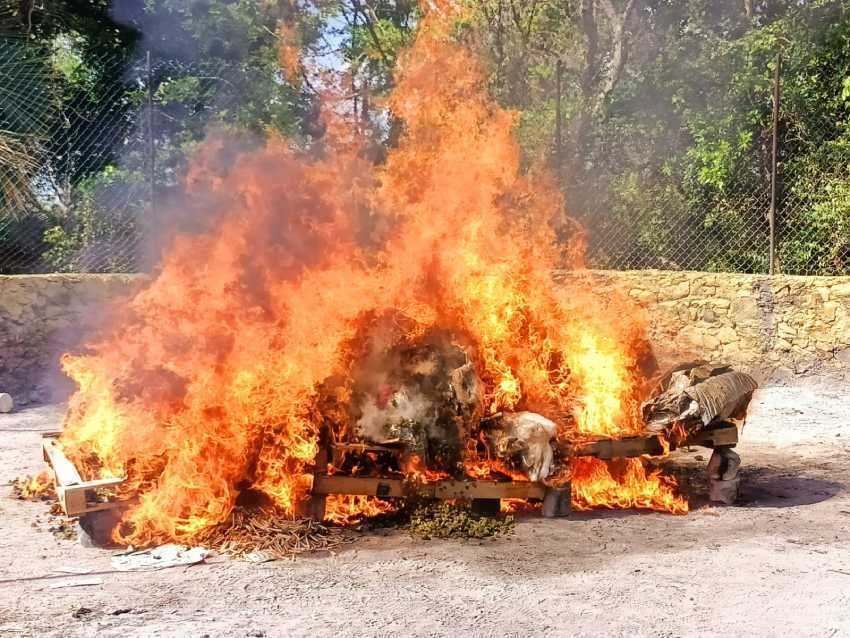 Diversos narcoticos son incinerados en una base militar en Cancun 1