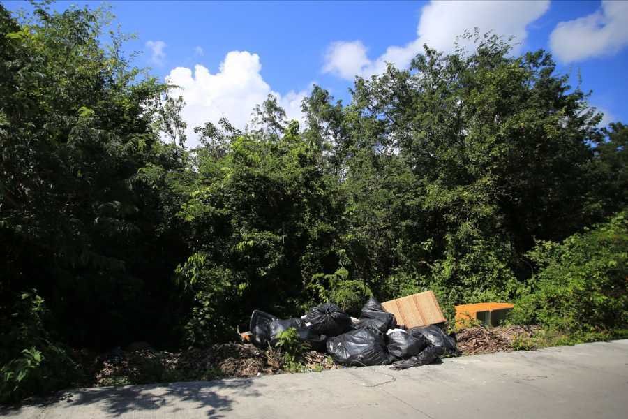 Gobierno municipal de Lili Campos promueve la limpieza de predios y lotes baldios para renovar Solidaridad 1