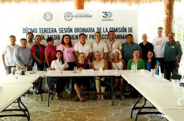 Propuesta para crear el Área Natural Protegida "Parque Chen Zubul" en Solidaridad 2 Propuesta para crear el Area Natural Protegida Parque Chen Zubul en Solidaridad 2