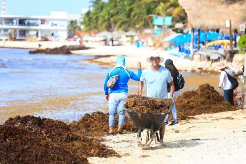 Reforzando la Limpieza de las Playas en Playa del Carmen 1