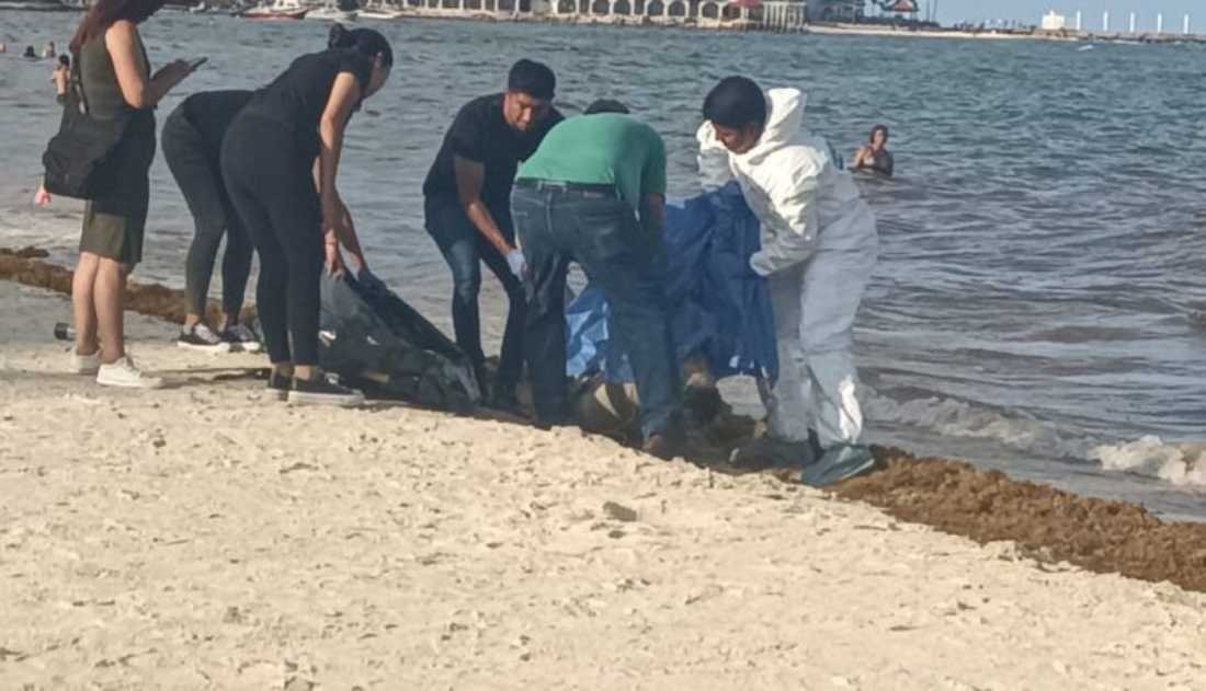 Trágico desenlace: Joven pierde la vida al ingresar inconsciente al mar