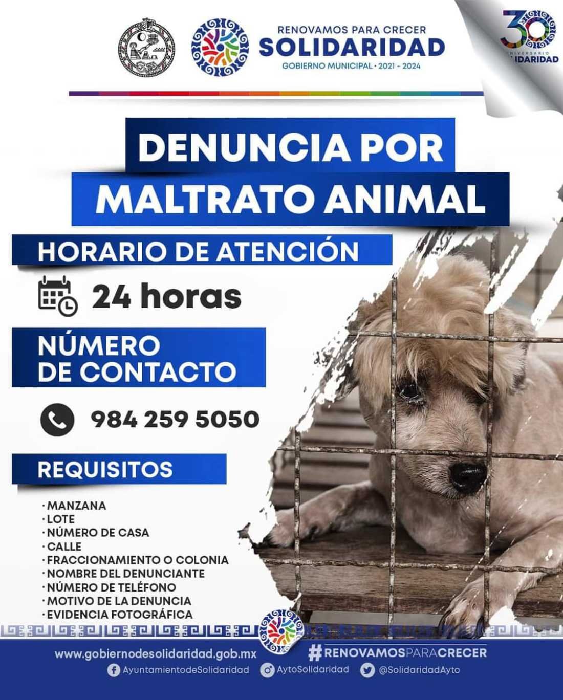 Denuncia de maltrato animal: CENCAAZ establece línea de atención las 24 horas