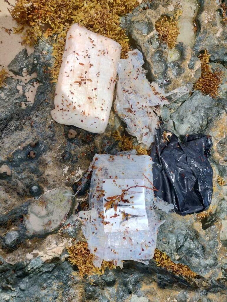 Descubren droga en playa de Tulum en medio de la invasion de sargazo 2