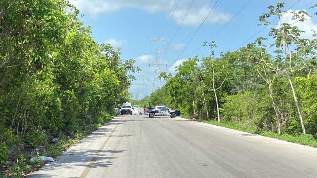 Descubren restos humanos en una zona verde de la Región 260 de Cancún