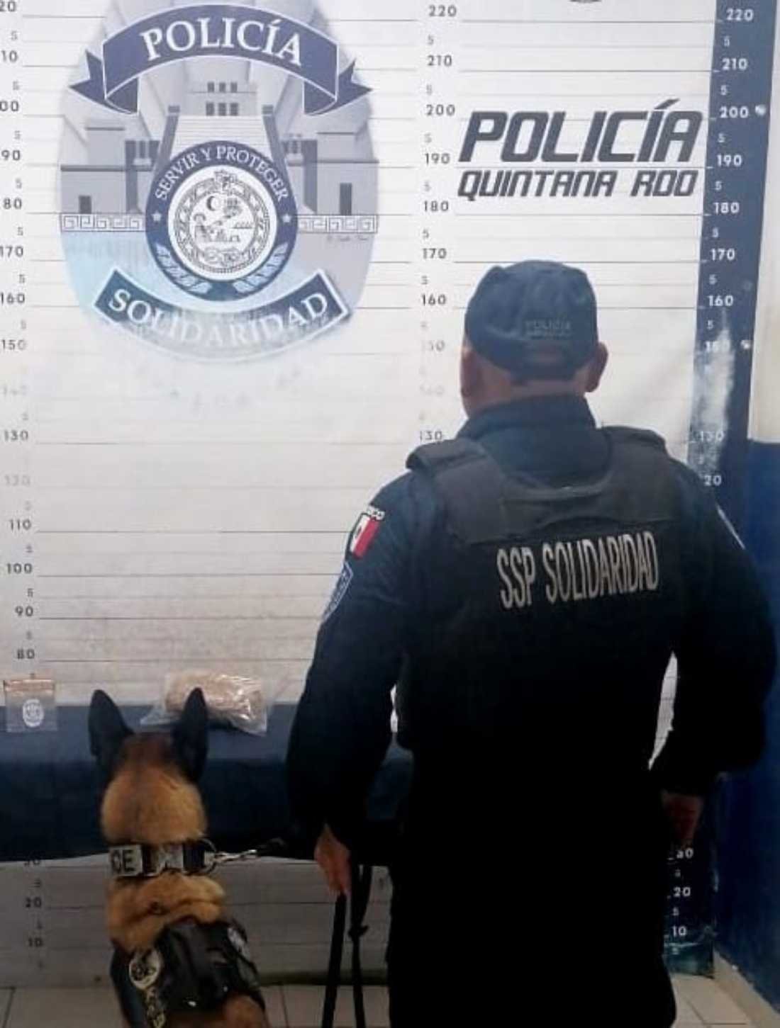 Encuentran sustancia sospechosa enterrada en Playa del Carmen