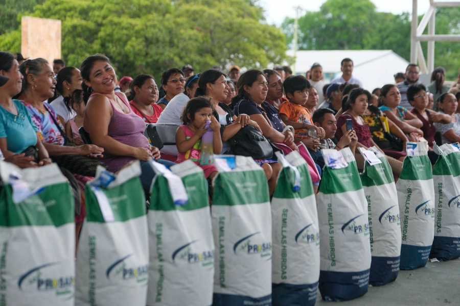 Mara Lezama fortalece el sector agricola de Quintana Roo mediante la distribucion de semillas de maiz 2