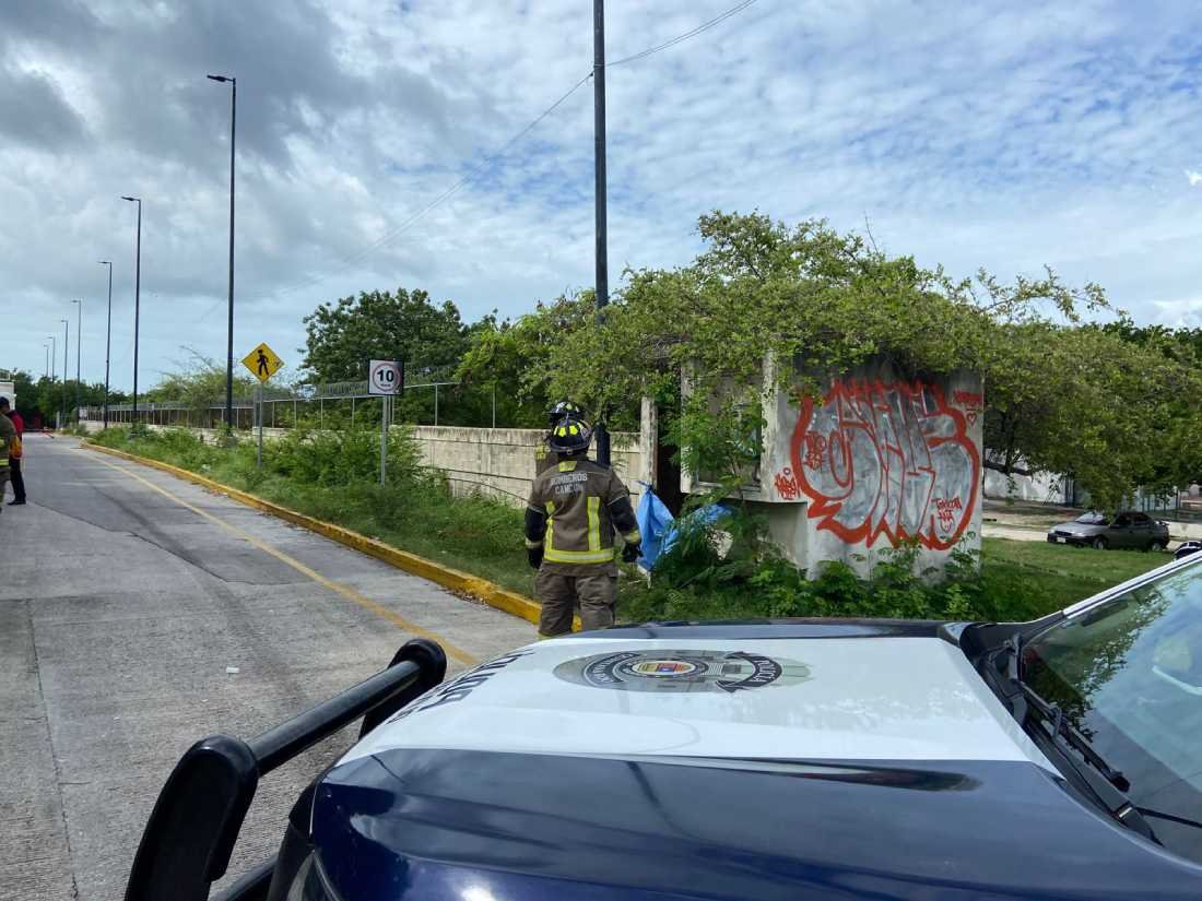 Trágico incidente en supermercado de Cancún: hombre pierde la vida por electrocución