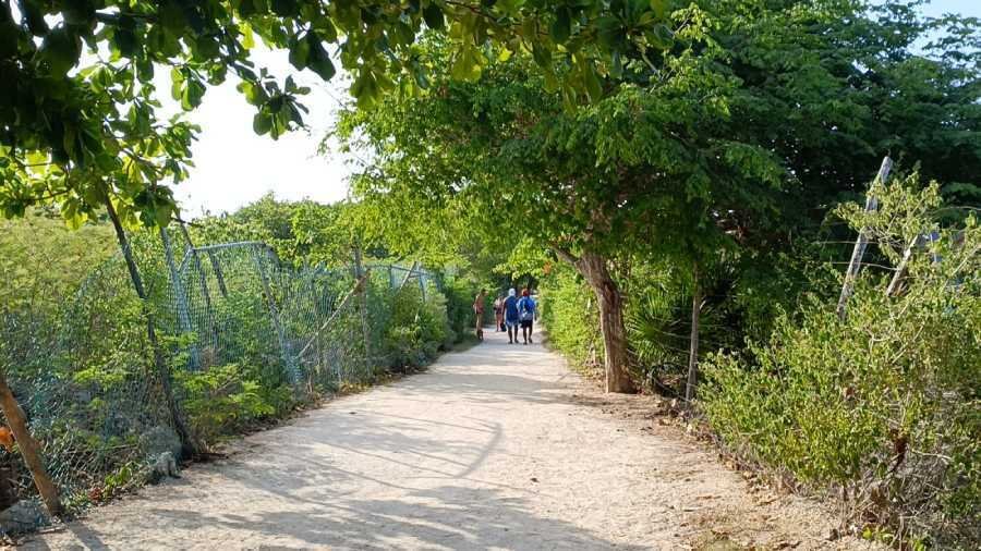Congelada certificacion Blue Flag para playa de la 72 debido a la demanda de una comunidad que busca un espacio pet friendly 1