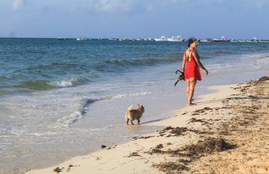 Consulta ciudadana en Solidaridad para mejorar la playa: Escuchando y respetando la opinión de todos 1 Consulta ciudadana en Solidaridad para mejorar la playa Escuchando y respetando la opinion de todos 1
