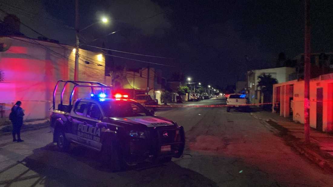 Descubren supuesto invernadero de marihuana en la Supermanzana 50 de Cancún; capturan a un individuo