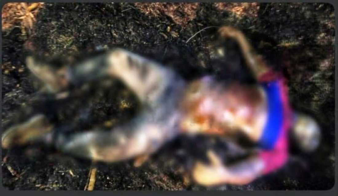 Macabro hallazgo en la carretera Puerto Aventuras-Akumal: Encuentran cadáver con heridas de bala