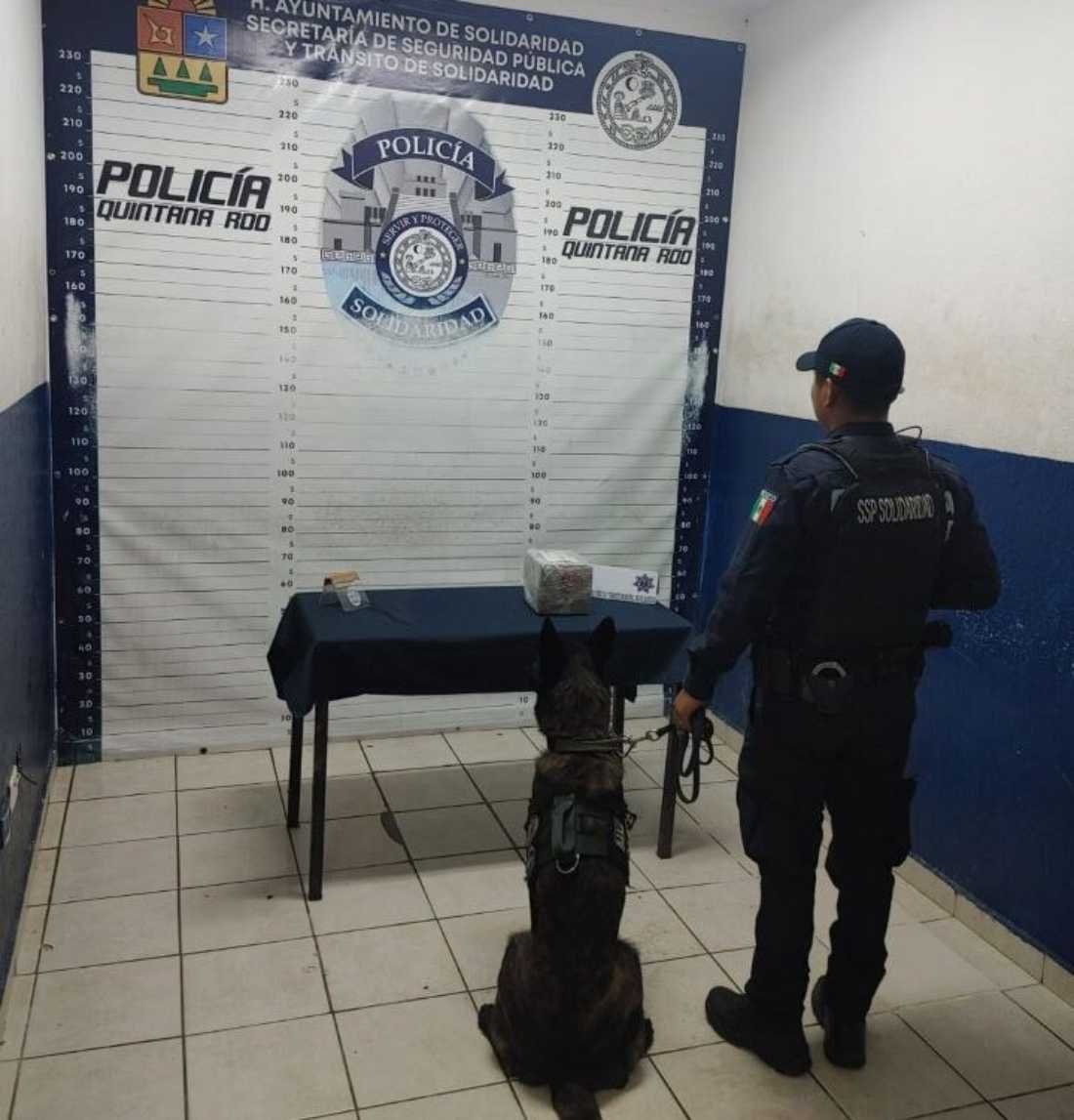 Nuevo decomiso de sustancias ilícitas en empresa de paquetería de Playa del Carmen