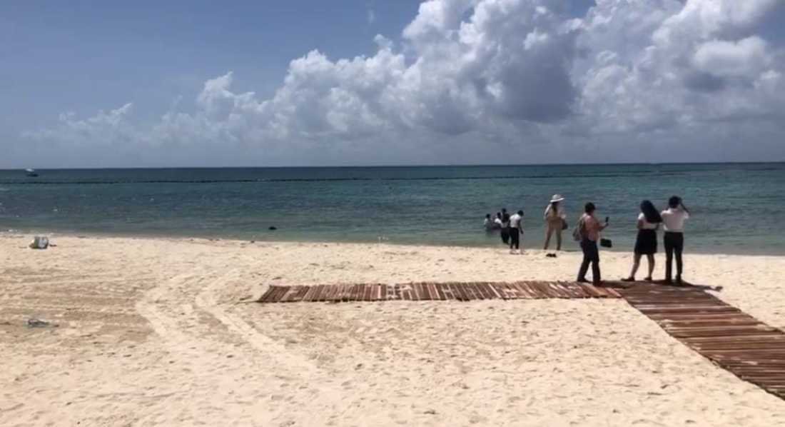 Playa 72 logra la prestigiosa certificación Blue Flag y busca ser más acogedora para las mascotas