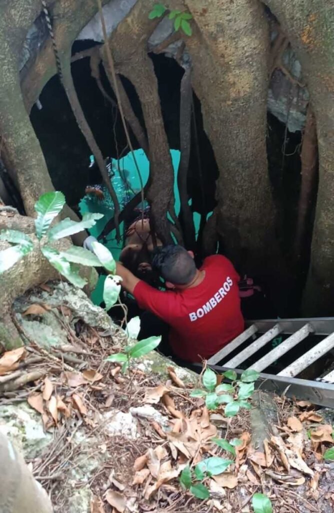 Trabajador fallece en Leona Vicario al incurrir en un delito ambiental 1