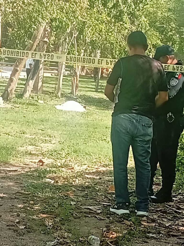 Tragico incidente en Chetumal Hombre pierde la vida tras ser atacado por enjambre de abejas en una universidad 1