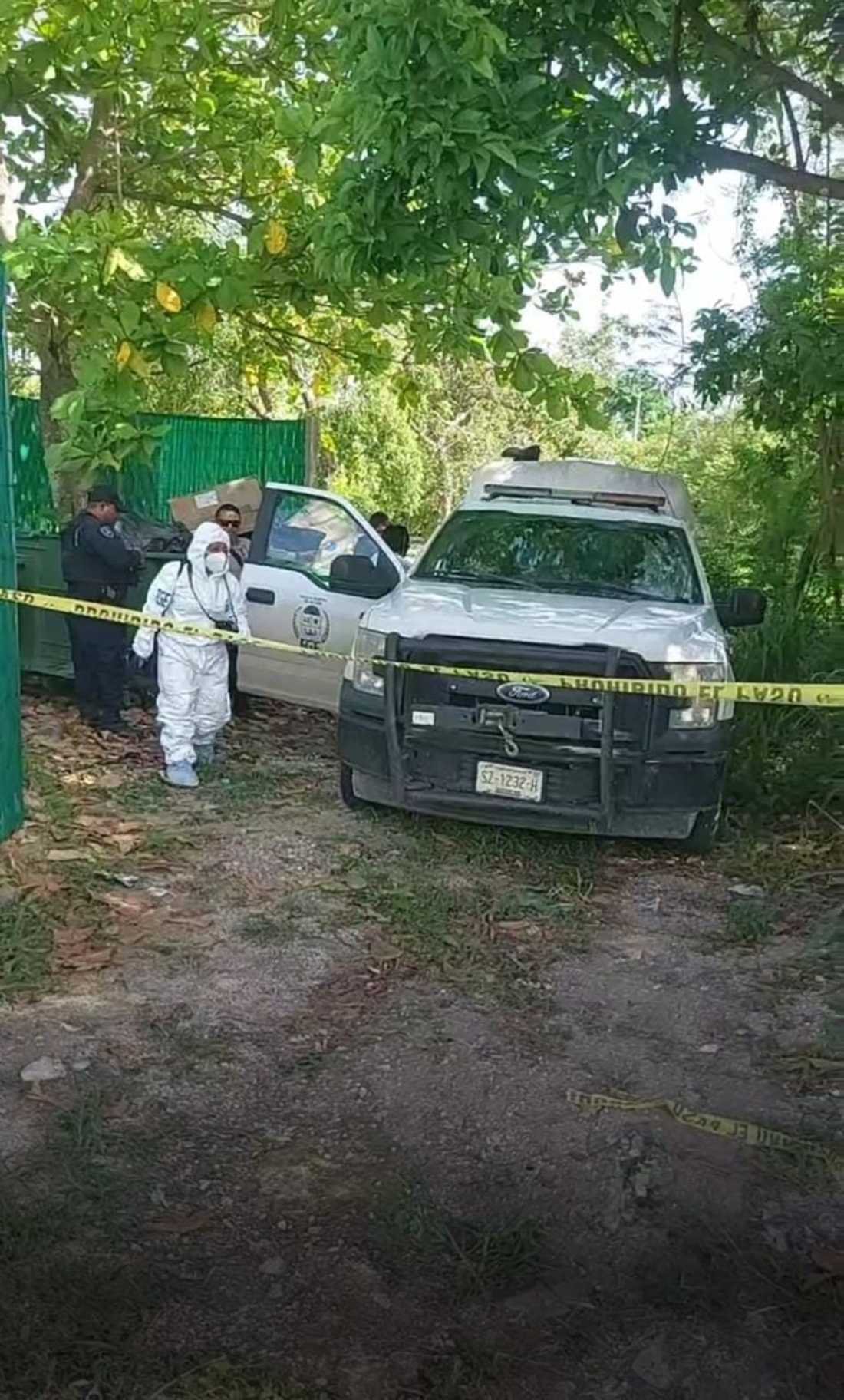 Trágico incidente en Chetumal: Hombre pierde la vida tras ser atacado por enjambre de abejas en una universidad
