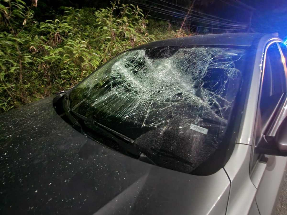 Apoyo Unánime de Restauranteros de Cancún a Sanciones Ejemplares para Taxistas Agresivos