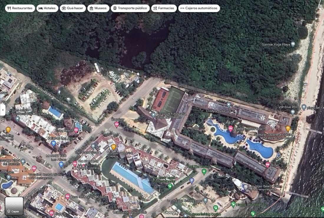 Hotel en Playa del Carmen desafía la ley y rellena zona de manglar con sargazo