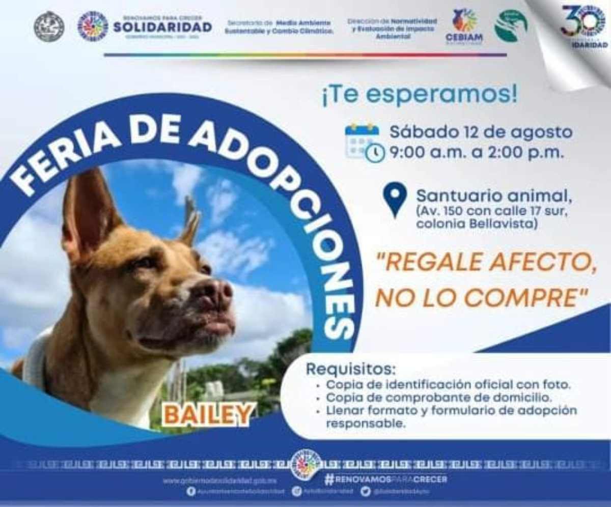 Invitación a la Feria Canina: Encuentra a tu Nuevo Compañero Peludo