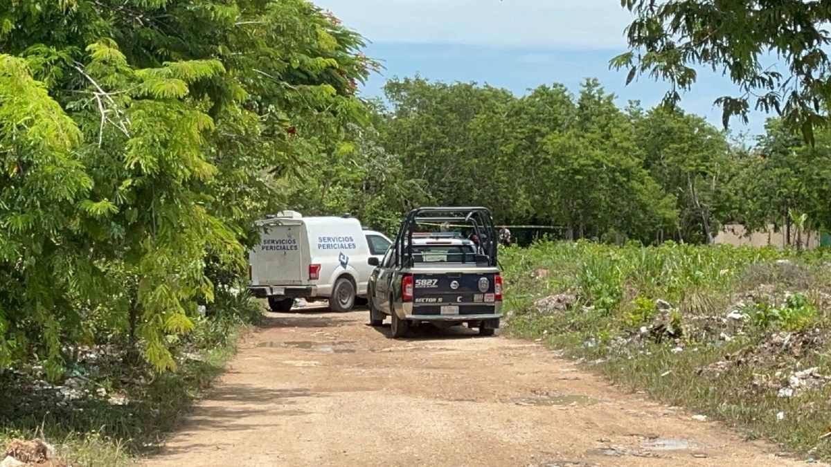 Macabro Hallazgo en Cancún: Restos Humanos Encontrados en Bolsas de Basura