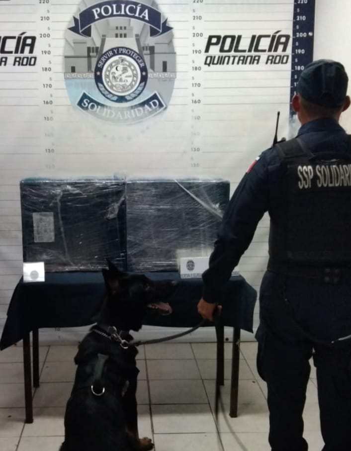 Operativos Exitosos de la Policía Municipal de Solidaridad: Aseguramientos y Detenciones