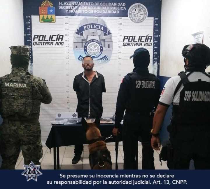 Ataque en Quinta Avenida de Playa del Carmen: Una mujer herida y un arresto