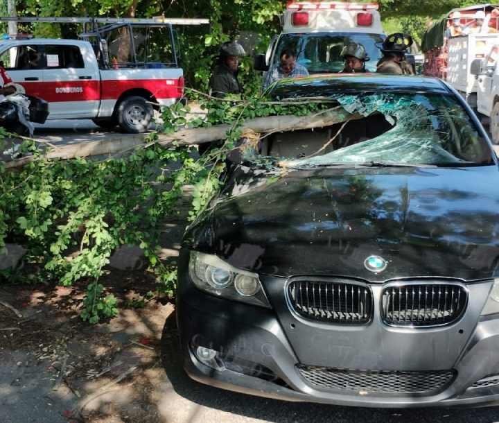 Caída de Rama de Árbol en Cancún Región 95: Cuatro Heridos, Vehículo de Lujo y Motocicleta Dañados