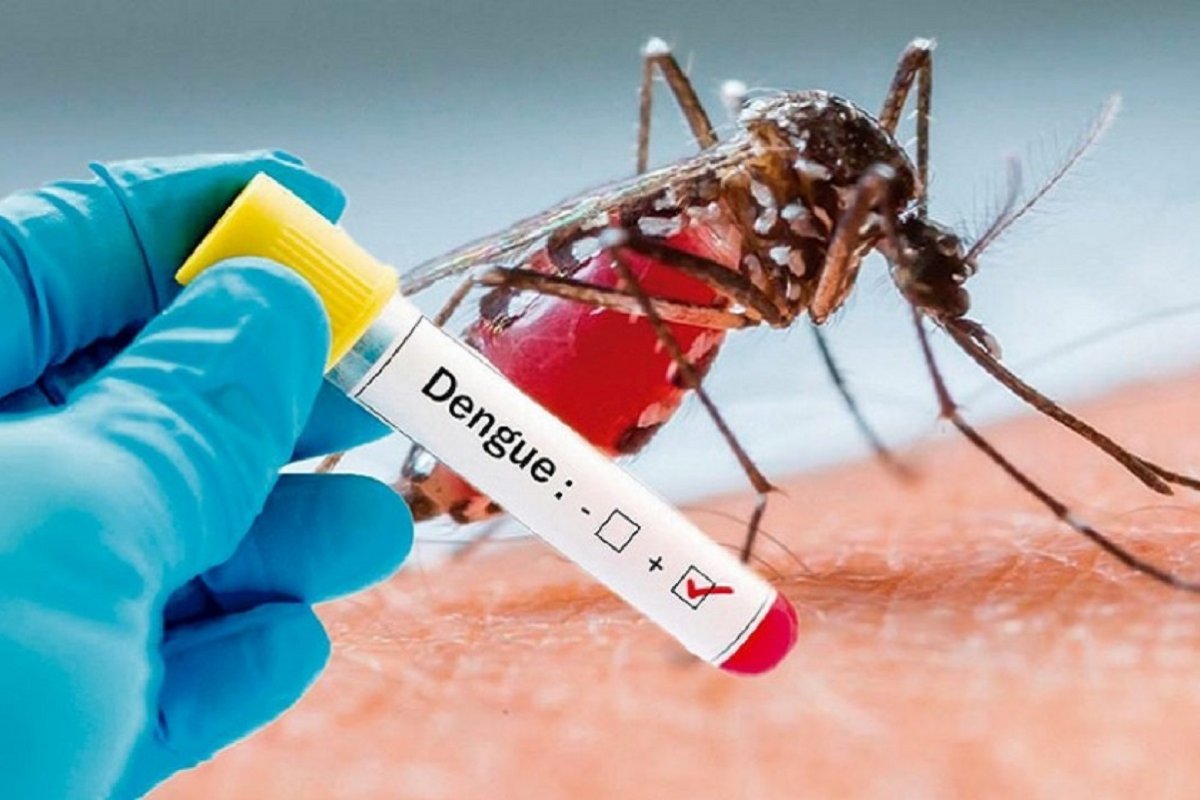 Dengue
