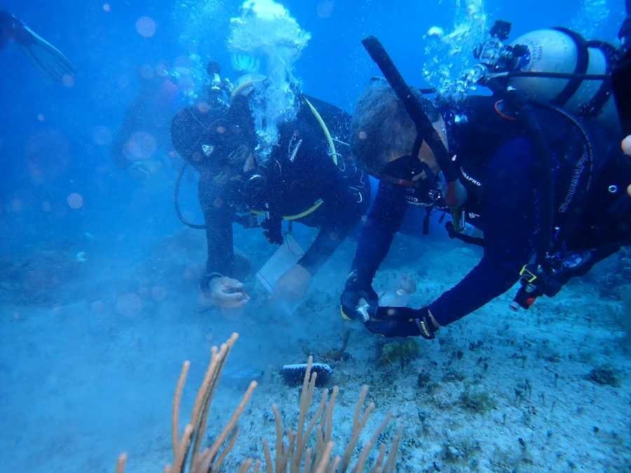 Comunicado de la Fundación de Parques y Museos de Cozumel. 17 de septiembre 2023