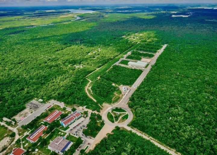 Confirmación de la Integración de Comerciantes Locales en el Tianguis Comercial Yum Kaax en Chetumal