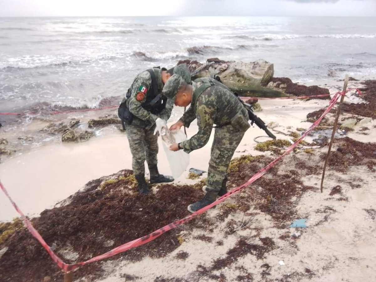 Confiscación de Estupefacientes en la Costa Nororiental de Cozumel