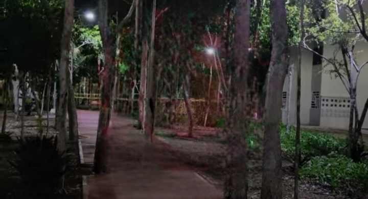 Doble Homicidio en Tulum: Dos Hombres Abatidos a Tiros