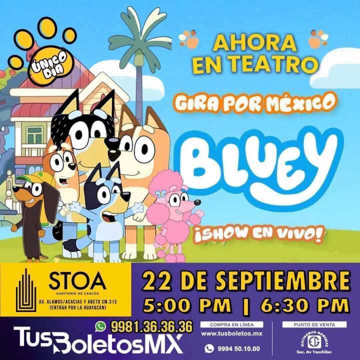 ‘Bluey’ llega a Cancún con show en vivo