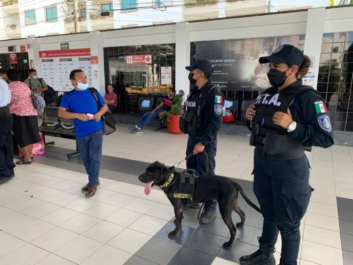 Binomios Caninos: La Fuerza que Refuerza la Seguridad en Solidaridad